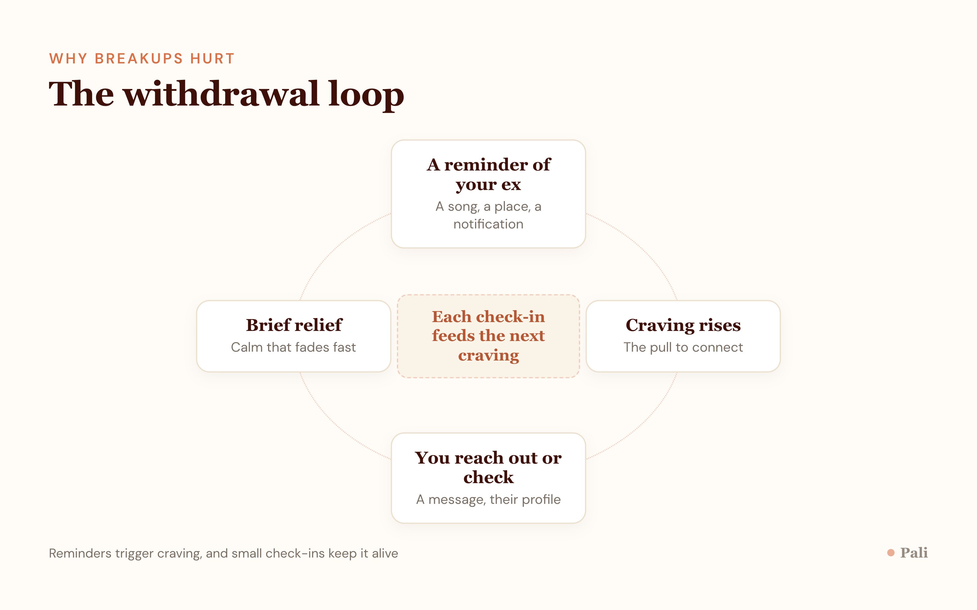 A loop diagram showing a reminder of the ex, a rise in craving, an urge to reach out or check their profile, brief relief, then the loop repeating